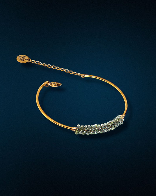 Bracelet jonc Rio Marina